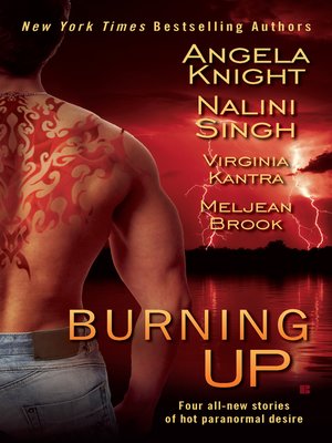 cover image of Burning Up
